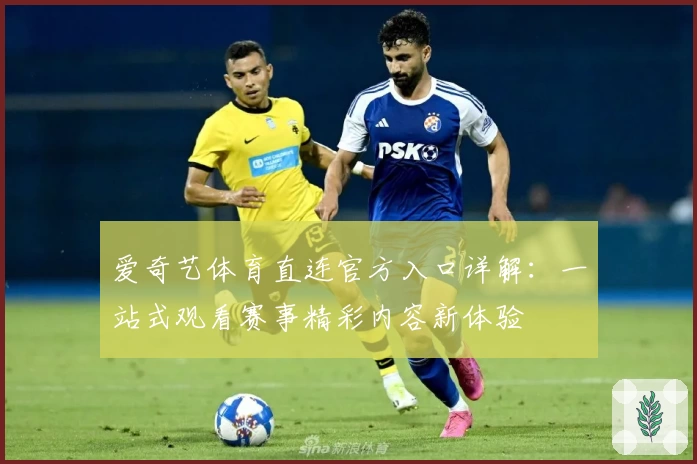 爱奇艺体育直连官方入口详解：一站式观看赛事精彩内容新体验